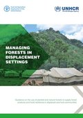 Managing forests in displacement settings