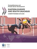 Competitiveness and Private Sector Development: Eastern Europe and South Caucasus 2011 Competitiveness Outlook