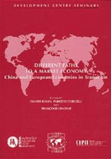 OECD, Centre for Economic Policy Research, Centre d'Etudes Prospectives et d'Informations Internationales - Development Centre Seminars Different Paths to a Market Economy: China and European Economies in Transition, E-bok