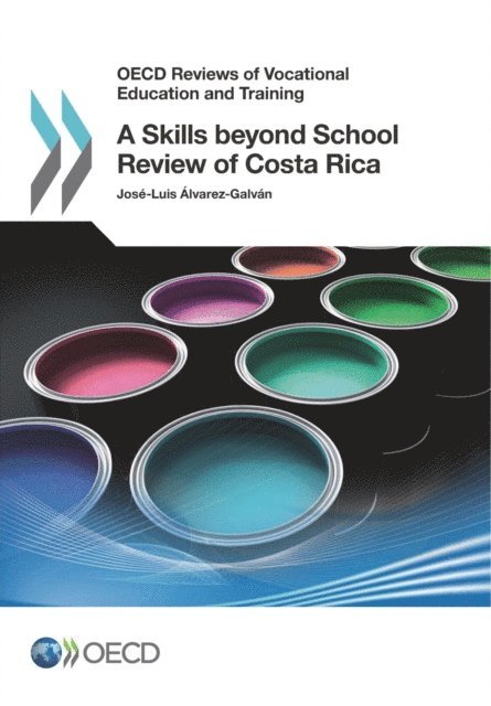 Jose-Luis Alvarez-Galvan - OECD Reviews of Vocational Education and Training A Skills beyond School Review of Costa Rica, E-bok