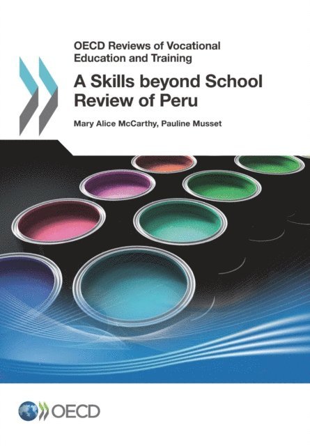 Pauline Musset, Mary Alice McCarthy - OECD Reviews of Vocational Education and Training A Skills beyond School Review of Peru, E-bok