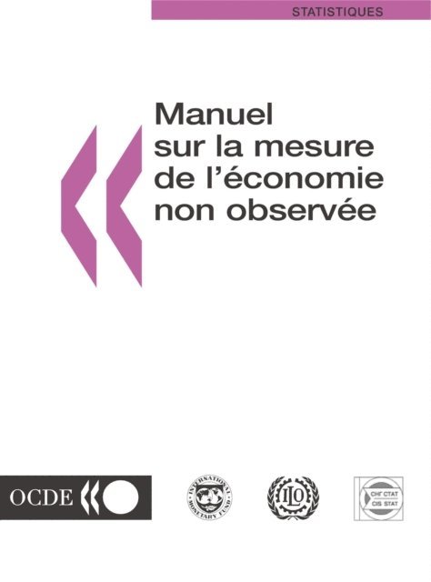 International Statistical Committee of the Commonwealth of Independent States, International Monetary Fund, International Labour Organization, OECD - Manuel sur la mesure de l'economie non observee, E-bok