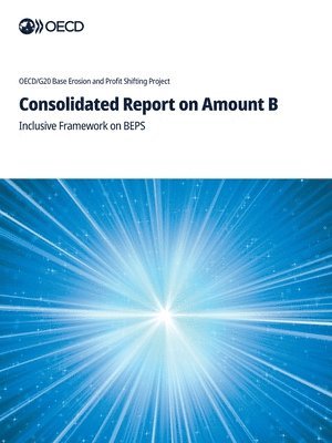 Oecd - Consolidated Report on Amount B, Häftad