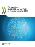 Perspectives de l'Ocde Sur Les Pme Et l'Entrepreneuriat 2019