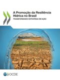 A Promoção da Resiliência Hÿdrica no Brasil Transformando estratégia em ação