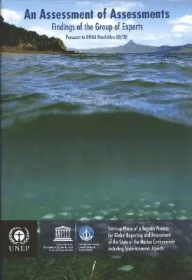 United Nations Environment Programme - Assessment of Assessments, Häftad. Tillgänglighet: Tillfälligt slut