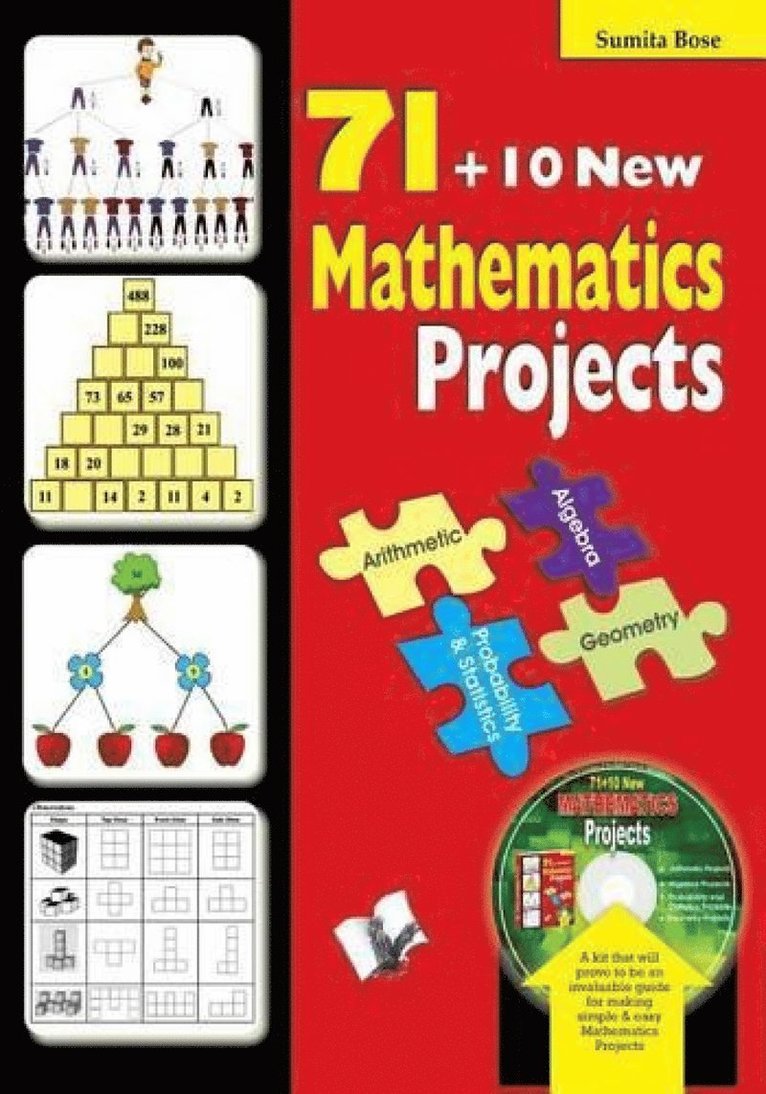 Sumita Bose - 71 Mathematics Projects, Häftad