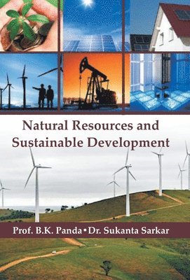 Panda - Natural Resources And Sustainable Development, Inbunden