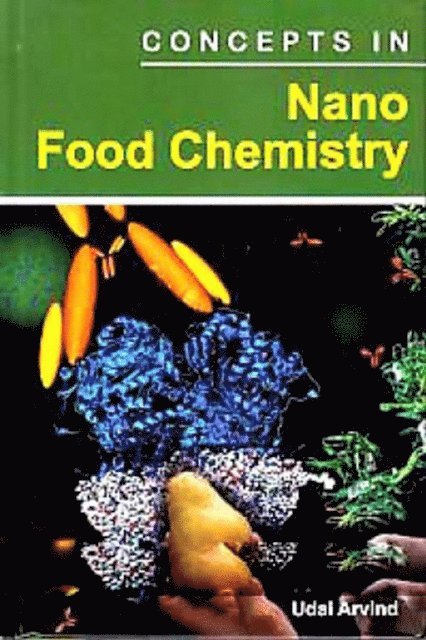 Udai Arvind - Concepts In Nano Food Chemistry, E-bok