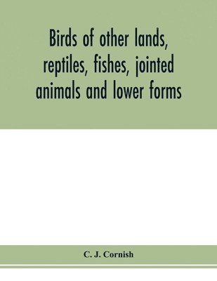C J Cornish - Birds of other lands, reptiles, fishes, jointed animals and lower forms, Häftad. Tillgänglighet: Lägg i varukorg