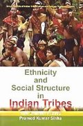 Encyclopaedia Of Indian Tribal Culture And Folklore Traditions (Ethnicity And Social Structure In Indian Tribes)