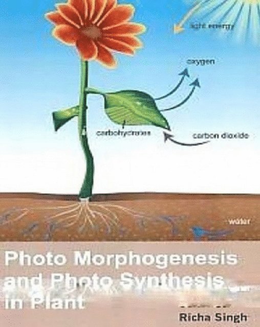 Richa Singh - Photo Morphogenesis And Photo Synthesis In Plant, E-bok
