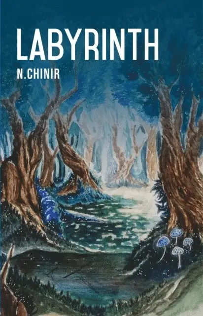 N Chinir - Labyrinth, E-bok. Tillgänglighet: Lägg i varukorg