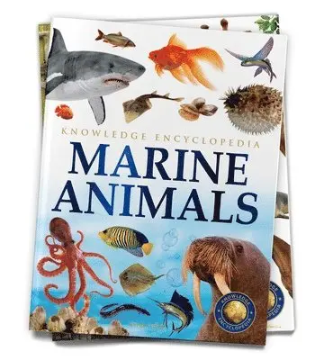 Wonder House Books - Animals, Häftad. Tillgänglighet: Tillfälligt slut