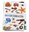 Animals - Invertebrates