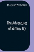 The Adventures Of Sammy Jay