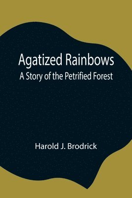 Harold J Brodrick - Agatized Rainbows, Häftad. Tillgänglighet: Lägg i varukorg