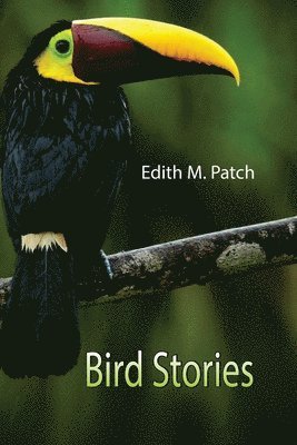 Edith M Patch - Bird Stories, Häftad