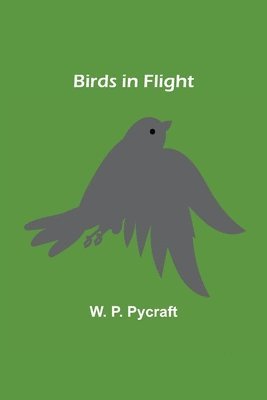 W P Pycraft - Birds in Flight, Häftad