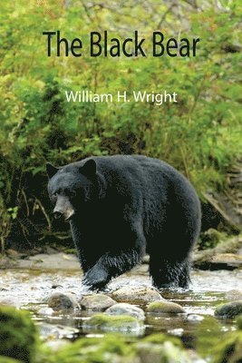 William H Wright - Black Bear, Häftad. Tillgänglighet: Lägg i varukorg