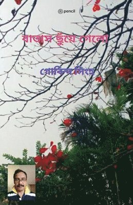 Govind Singh - বাতাস ছুঁয়ে গেলো (The wind blew), Häftad