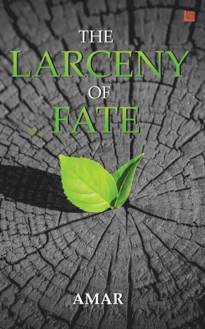 Amar - Larceny of Fate, E-bok