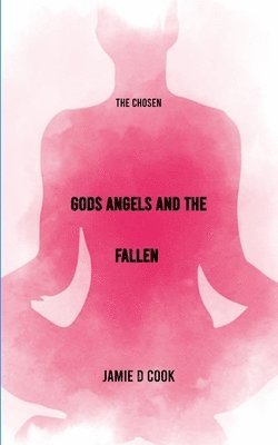 Jamie D Cook - GODS ANGELS AND THE FALLEN, Häftad