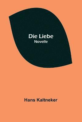 Hans Kaltneker - Liebe, Häftad