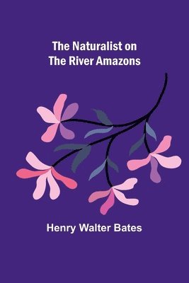 Henry Walter Bates - Naturalist on the River Amazons, Häftad