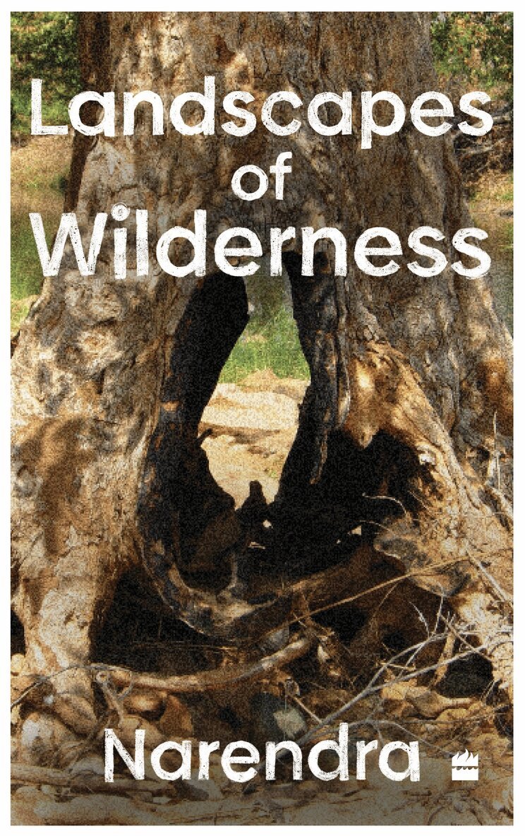 Narendra - Landscapes Of Wilderness, Häftad