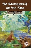 The Adventures of Old Mr. Toad