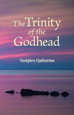 Torbjorn Fjellstrom - Tninity of the Godhead, Häftad