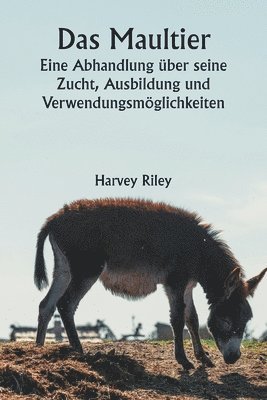 Harvey Riley - Senator's Bride (Edition1). Tillgänglighet: Lägg i varukorg
