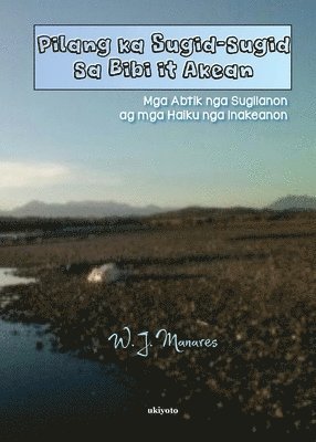W. J. Manares - Pilang Ka Sugid-Sugid Sa Bibi it Akean, Häftad. Tillgänglighet: Lägg i varukorg