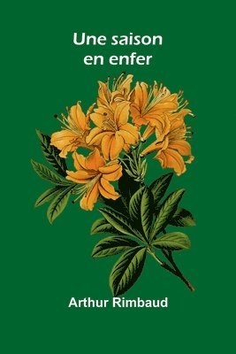 Arthur Rimbaud - saison en enfer, Häftad