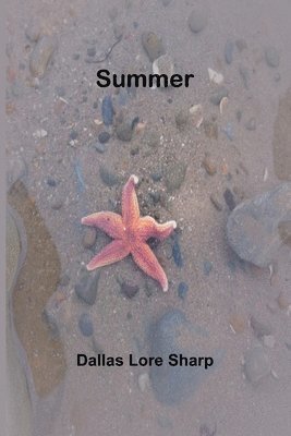 Dallas Lore Sharp - Summer., Häftad
