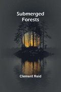 Submerged forests