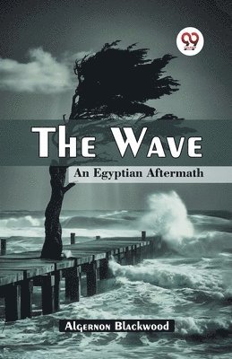 Algernon Blackwood - Wave an Egyptian Aftermath, Häftad