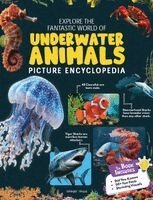 Wonder House Books - Explore Fantastic World of Underwater Animals Picture Encyclopedia, Häftad