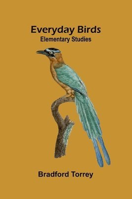 Freedmens Book (Edition1)
