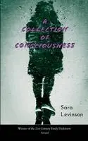 Sara Levinson - A Collection of Consciousness, Häftad. Tillgänglighet: Lägg i varukorg