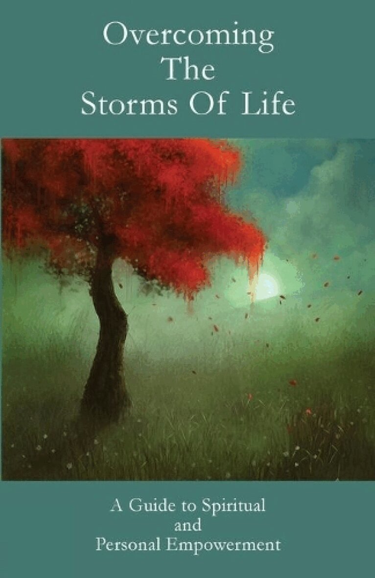 Leadstart Publishing - Overcoming the Storms of Life, Häftad