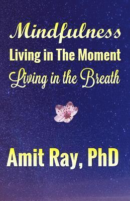 Amit Ray - Mindfulness: Living in the Moment Living in the Breath, Häftad