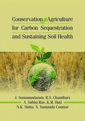 Conservation Agriculture for Carbon Sequestration and Sustaining Soil Health