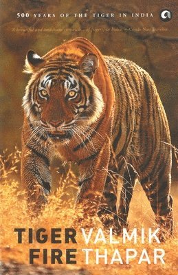 Valmik Thapar - Tiger Fire, Häftad