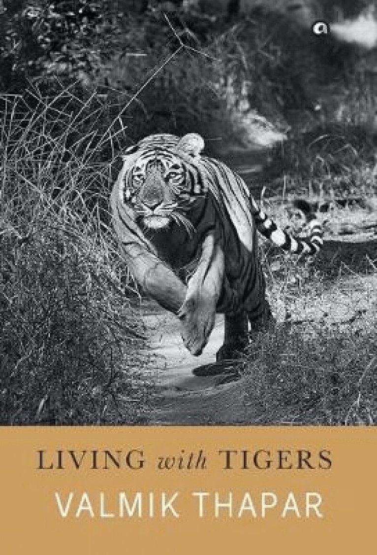 Valmik Thapar - Living with Tigers, Inbunden