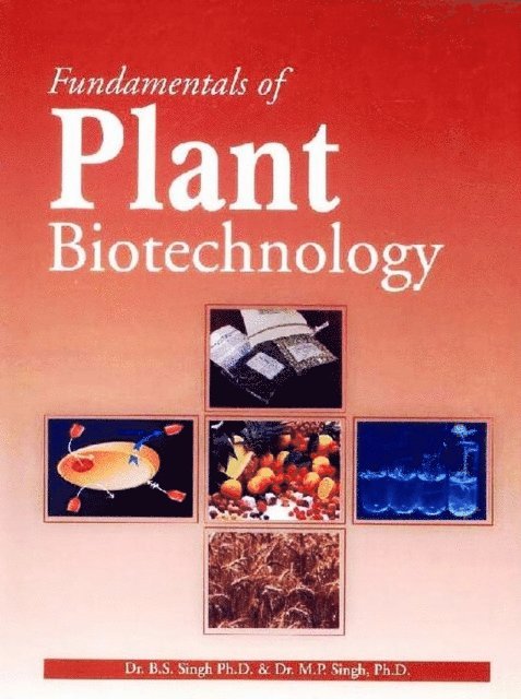 M. P. Singh, B. S. Singh - Fundamentals of Plant Biotechnology, E-bok