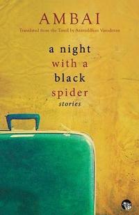 Night with a Black Spider