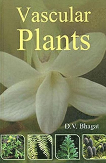 D. V. Bhagat - Vascular Plants, E-bok