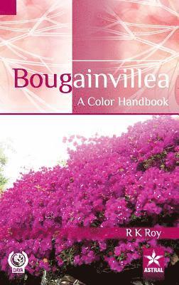 R K Roy - Bougainvillea, Inbunden